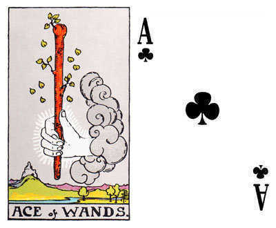 The Ace of Wands and the Ace of Clubs.